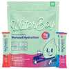 Waterboy hydration powder packaging with two stick packs and colorful design.