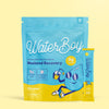 'WaterBoy hydration product packaging on a yellow background.'