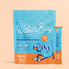 WaterBoy hydration supplement packaging on orange background.